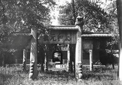 �ų�����